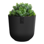 jazz rond mini 9cm living black